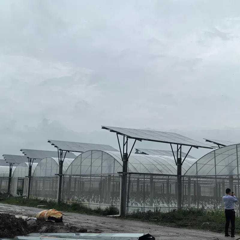 태양광 지붕을 갖춘 다중 범위 온실